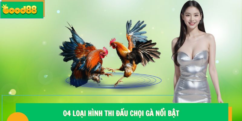 04 loại hình thi đấu chọi gà nổi bật tại Good88