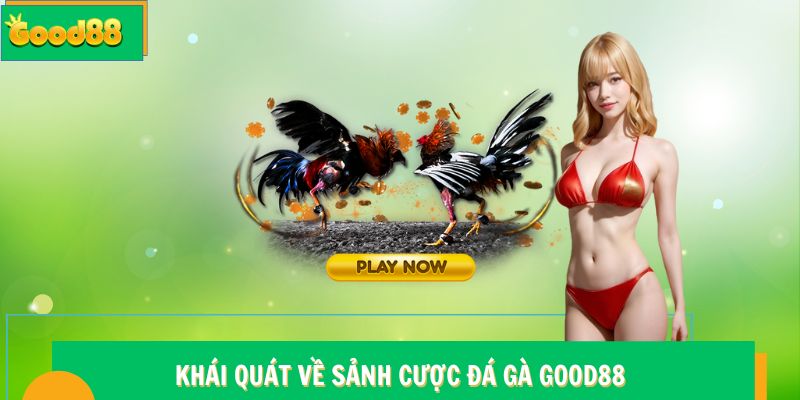 Khái quát về sảnh cược đá gà Good88